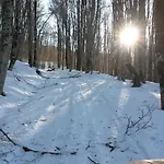 Гостевой дом Il Canalotto Longi