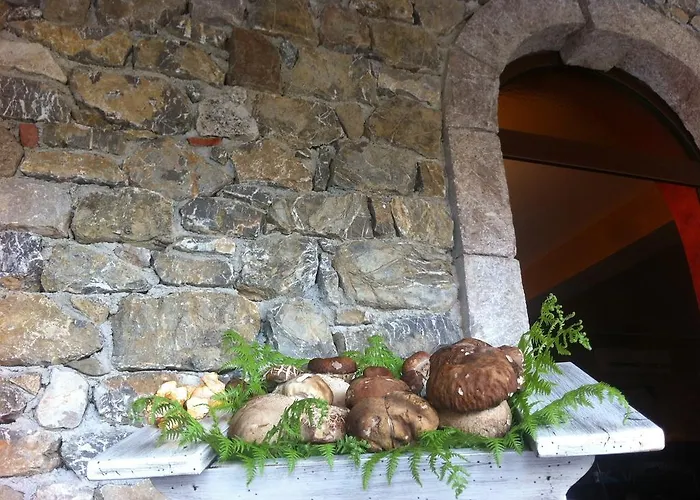 Πανσιόν Il Canalotto 4*