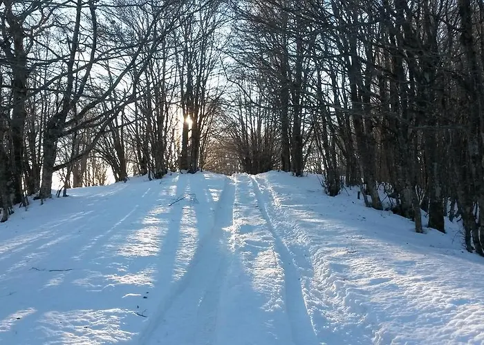 Πανσιόν Il Canalotto 4*
