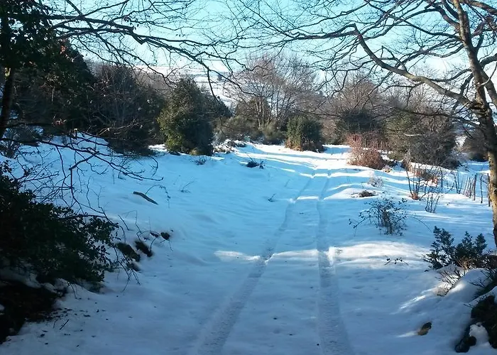 Πανσιόν Il Canalotto 4*